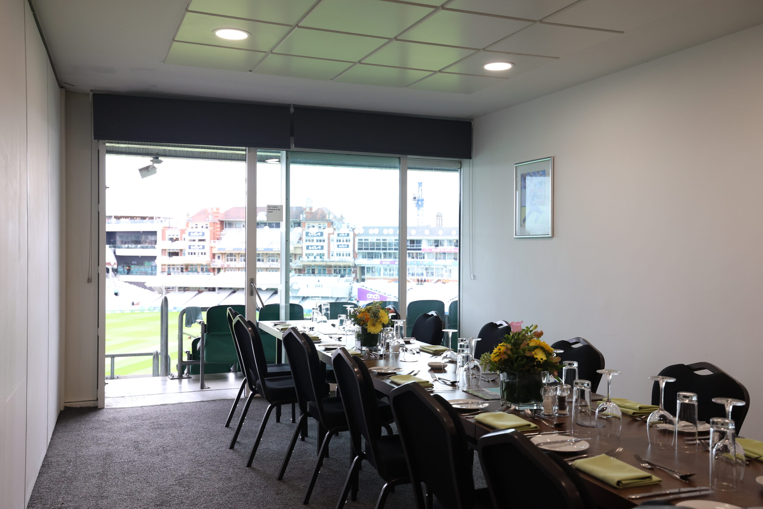 Single Executive Boxes